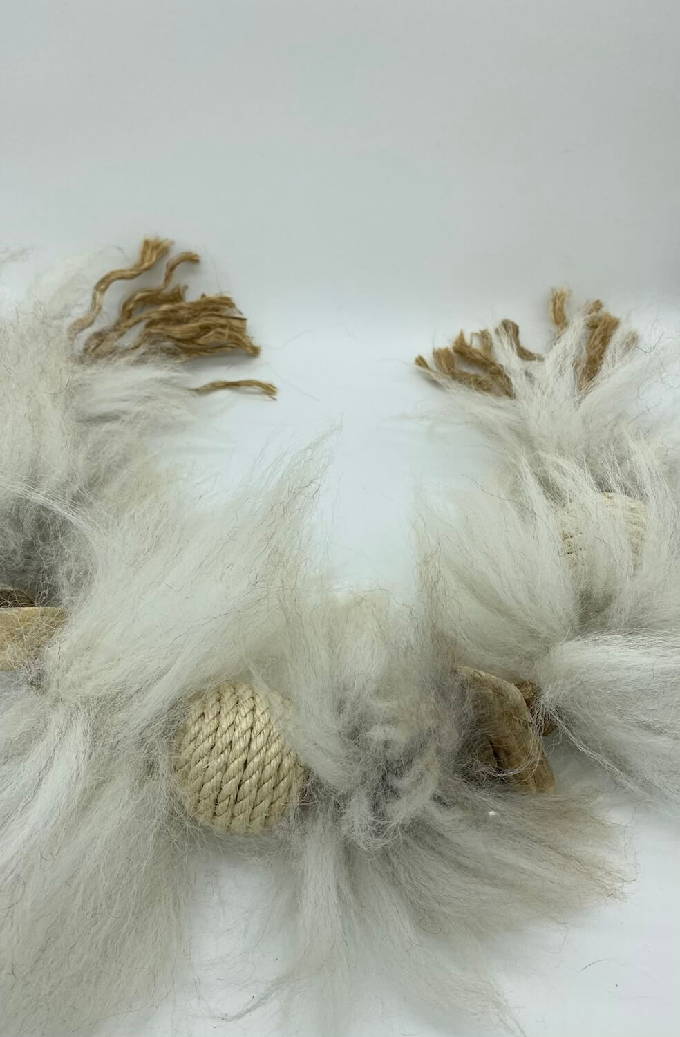 LionsLike Manila Schlange