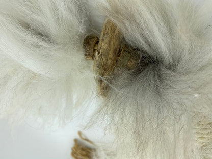 LionsLike Manila Schlange