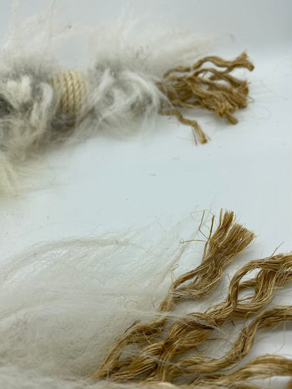 LionsLike Manila Schlange