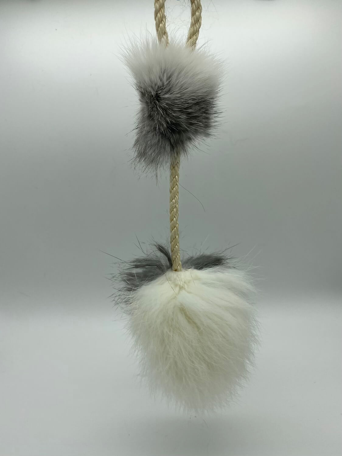 LionsLike Wedel -Möbelanhänger