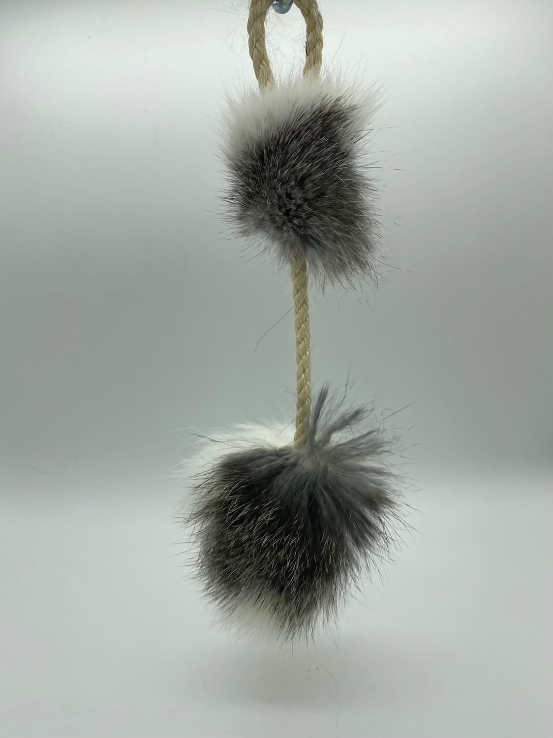 LionsLike Wedel -Möbelanhänger