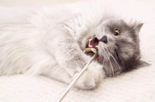 LionsLike teleskob Angel