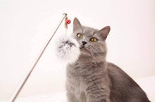 LionsLike teleskob Angel