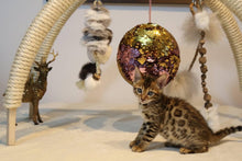 LionsLike Holzspielbogen