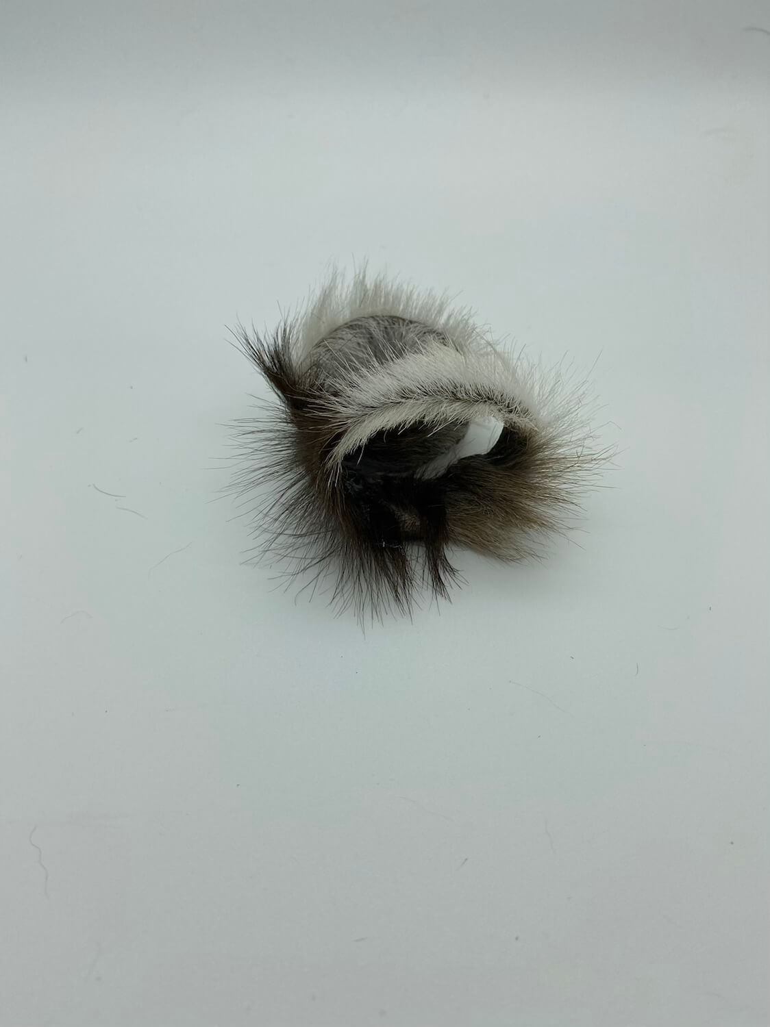 LionsLike Zebra Line