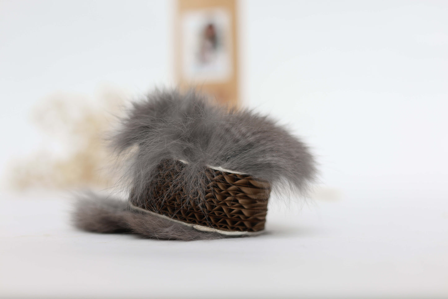 LionsLike Kratzrolle