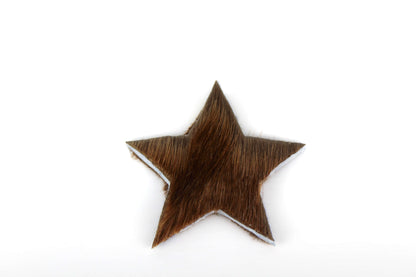 LionsLike Springbock Stern