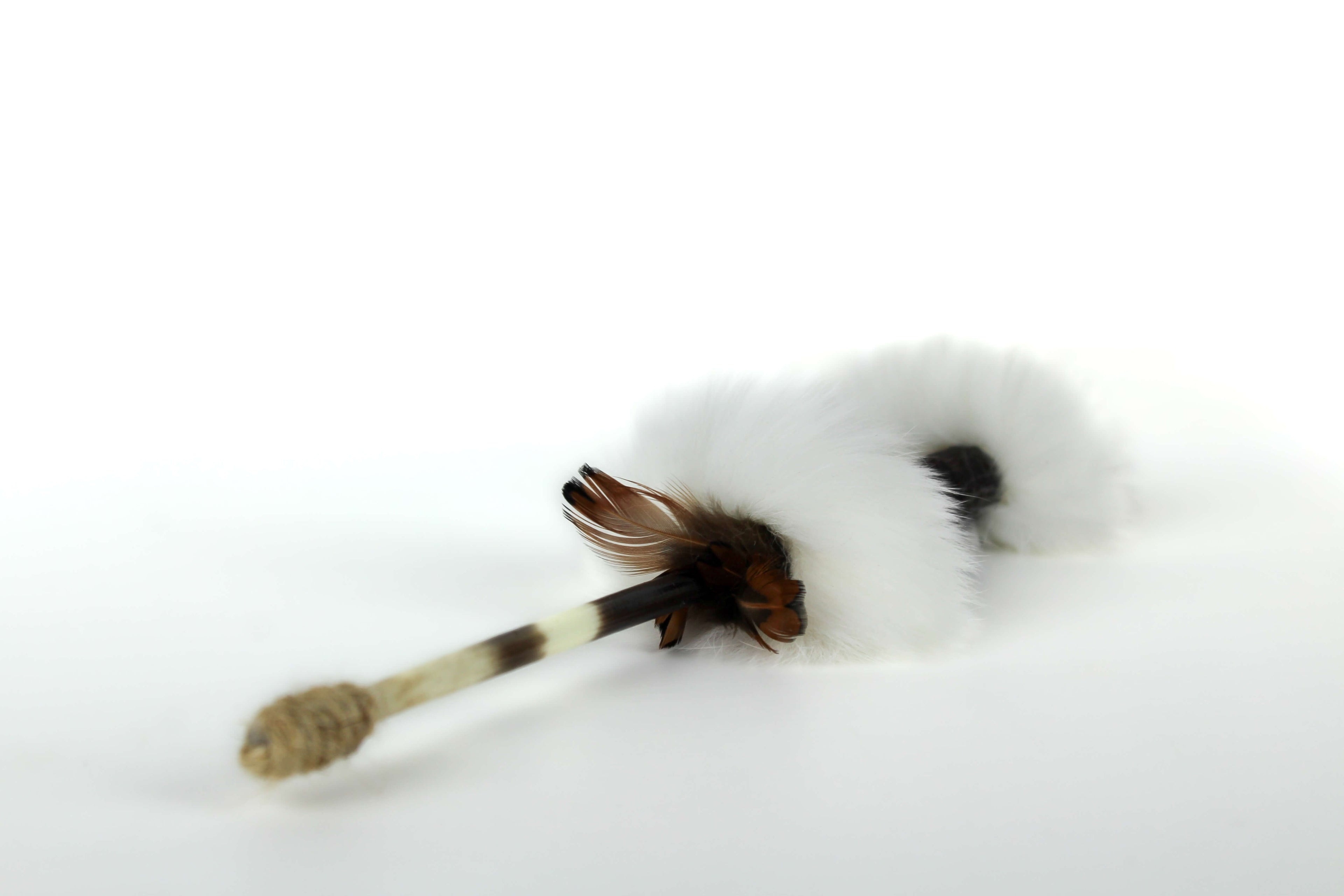 LionsLike Stachelschwein Stab