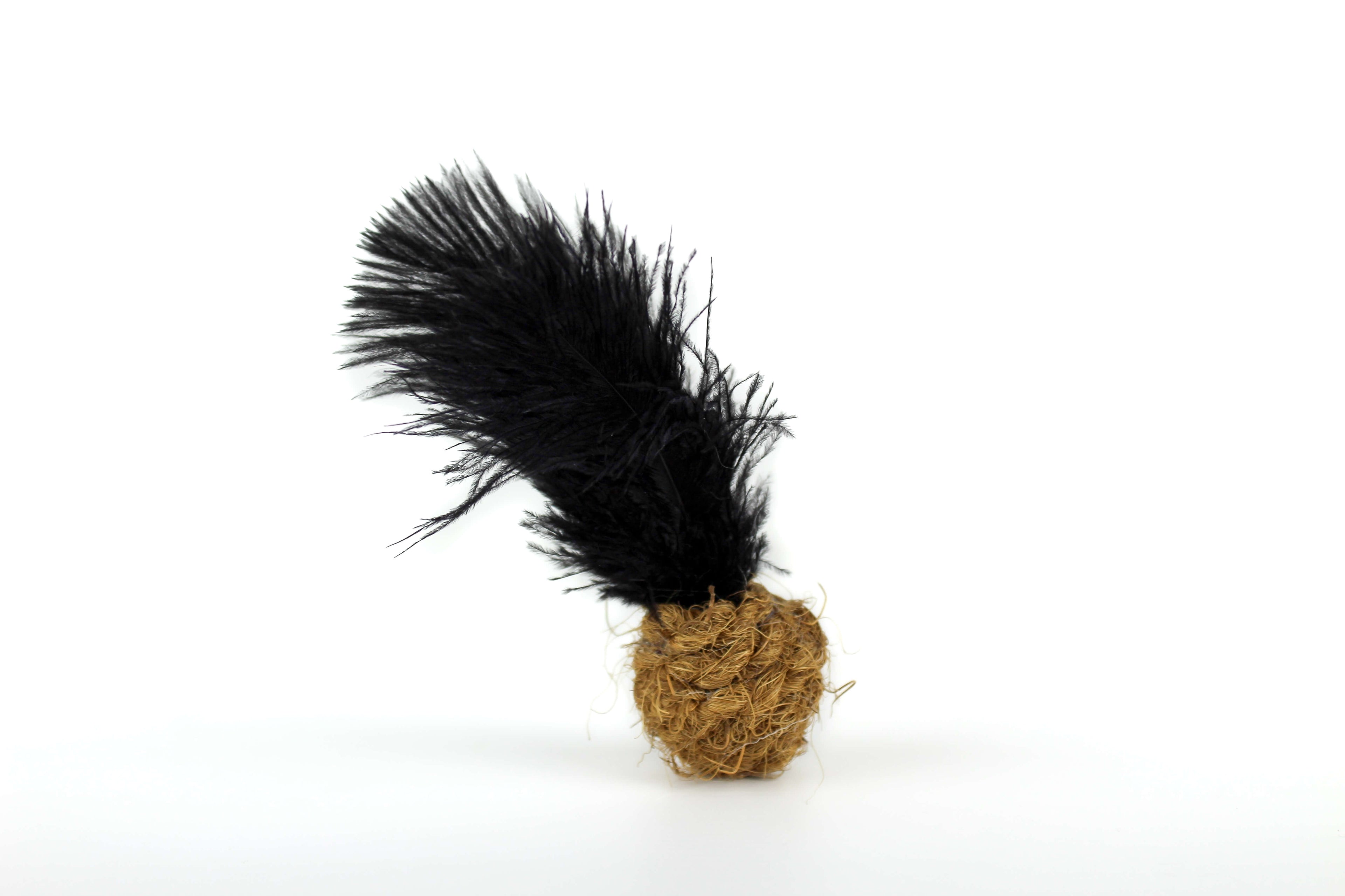 LionsLike Kokosbällchen