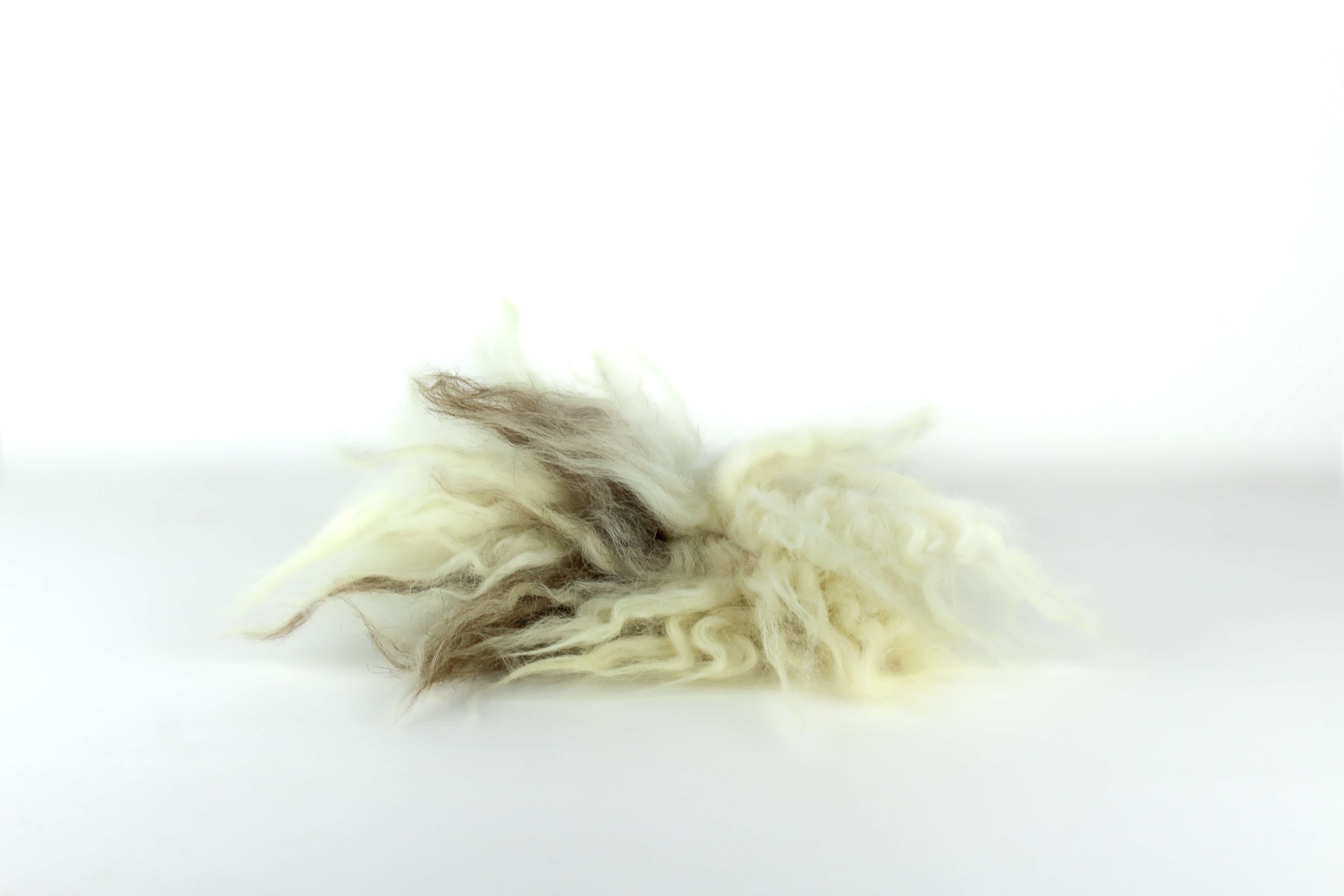 LionsLike Kuschelschaf