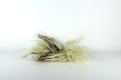 LionsLike Kuschelschaf