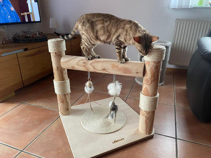 LionsLike Spielbarren XL