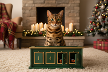 LionsLike Katzen Adventskalender mit handgefertigten Spielzeugen und Naturmaterialien
